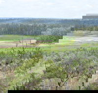 Princess Hills Girringun National Park - Accommodation Batemans Bay