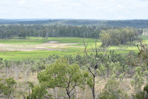 Princess Hills, Girringun National Park - Accommodation Batemans Bay 0