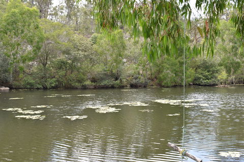 Princess Hills, Girringun National Park - Accommodation Batemans Bay 1