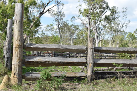 Princess Hills, Girringun National Park - Accommodation Batemans Bay 2