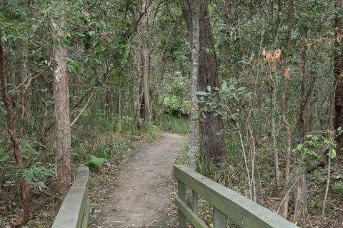 Springwood Conservation Park - Accommodation Batemans Bay 0