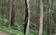 Springwood Conservation Park - thumb 1