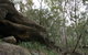 Springwood Conservation Park - thumb 2