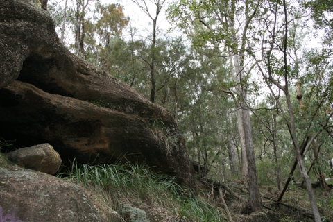 Springwood Conservation Park - Accommodation Batemans Bay 2