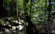 Strickland State Forest - thumb 0