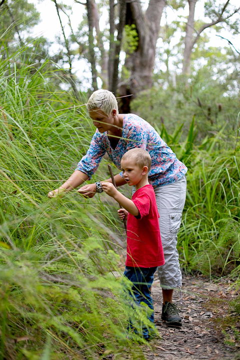 Strickland State Forest - Accommodation Batemans Bay 2