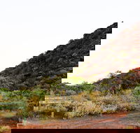 Whyalla Conservation Park - Accommodation Batemans Bay