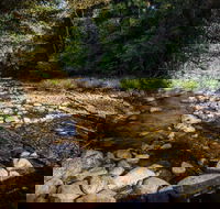 Wilson River picnic area - Accommodation Batemans Bay