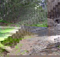 Bangadilly National Park - Accommodation Batemans Bay