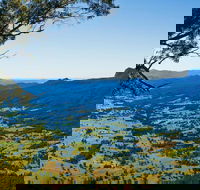 Blackbutt Lookout Picnic Area - Accommodation Batemans Bay