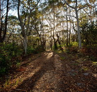 Booderee National Park Munyunga Waraga Dhugan Walking Trail - Accommodation Batemans Bay