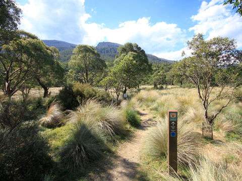 Bullocks Walking Track - Accommodation Batemans Bay 2