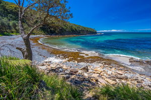 Burns Bay