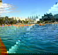 Byron Bay River Nature Kayak Tour - Accommodation Batemans Bay
