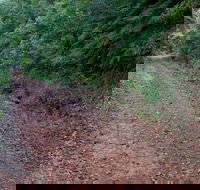 Cascade mountain bike trail - Accommodation Batemans Bay