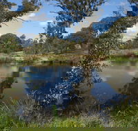 Cooleman Ridge - Accommodation Batemans Bay