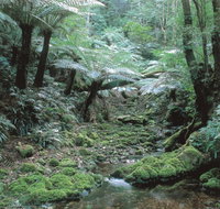 Corn Trail - Accommodation Batemans Bay