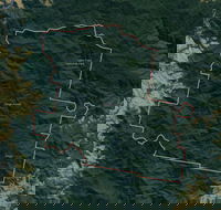 Dingo Forest - Accommodation Batemans Bay
