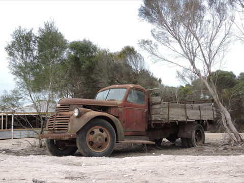 Emu Ridge Eucalyptus Pty Ltd - Accommodation Batemans Bay 2
