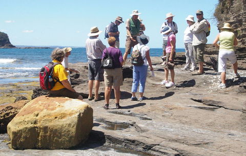 Gondwana Coast Fossil Walk - Accommodation Batemans Bay 0