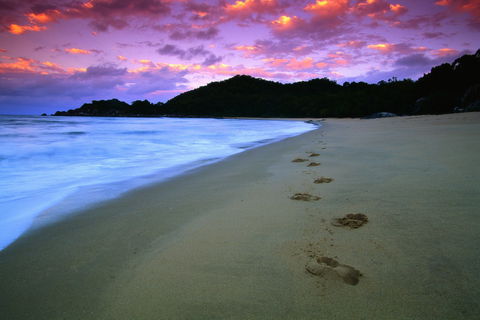 Hinchinbrook Island National Park - Accommodation Batemans Bay 2