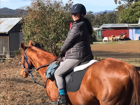 Horse Riding Tasmania - Accommodation Batemans Bay 1