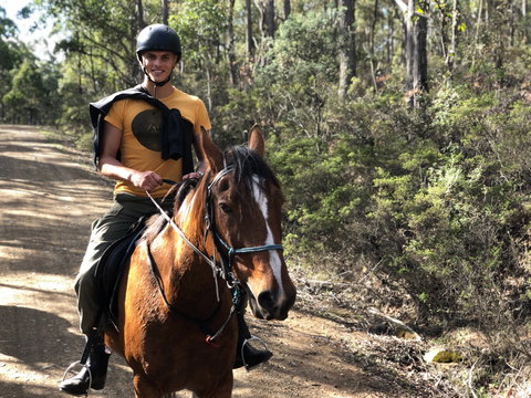 Horse Riding Tasmania - Accommodation Batemans Bay 2
