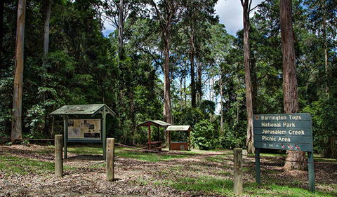 Jerusalem Creek Picnic Area - Accommodation Batemans Bay 0