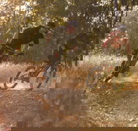 Kholo Gardens Trails - Accommodation Batemans Bay