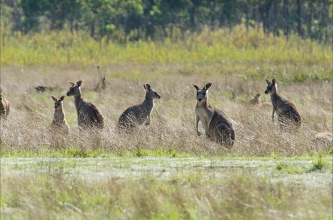 Kosciuszko National Park - Accommodation Batemans Bay 2