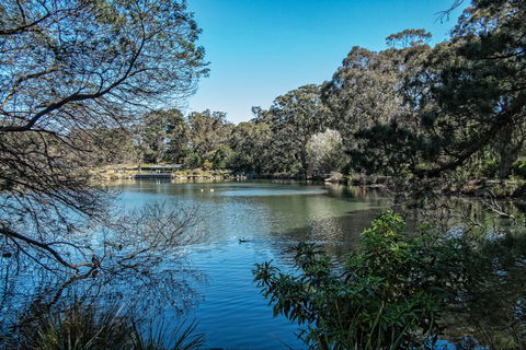Lake Alexandra Reserve - Accommodation Batemans Bay 1