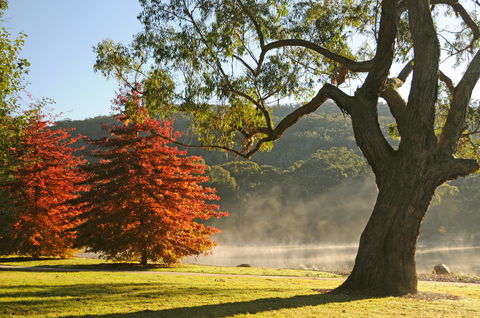 Lake Alexandra Reserve - Accommodation Batemans Bay 2