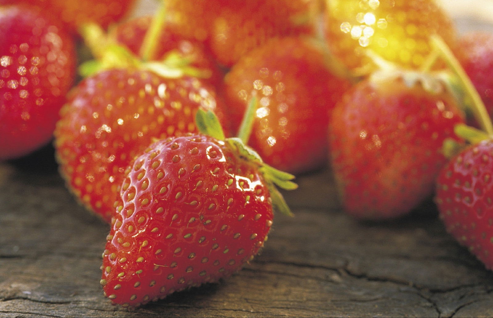 Lambs Valley NSW Accommodation Batemans Bay