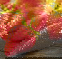 Lambs Valley - Accommodation Batemans Bay