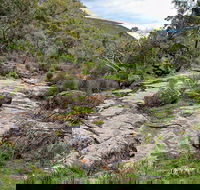 Lynchs Loop Trail - Accommodation Batemans Bay