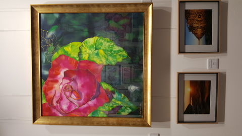 Macleay Valley Community Art Gallery - Accommodation Batemans Bay 0