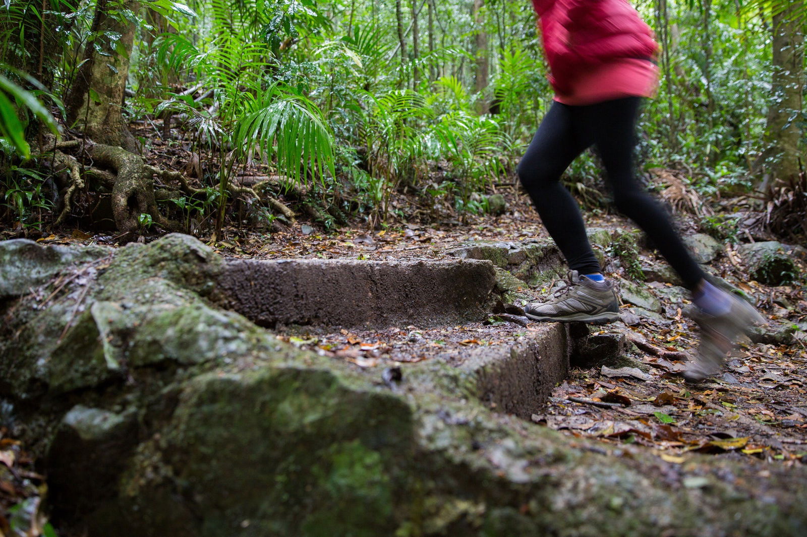 Mount Glorious QLD Accommodation Batemans Bay