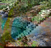 Mobong walking track - Accommodation Batemans Bay