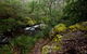 Mongarlowe River Picnic Area - thumb 0