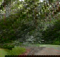 Moonpar Forest drive - Cascade National Park - Accommodation Batemans Bay