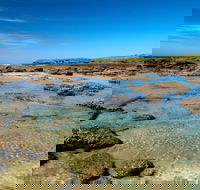 Moonee Beach trail - Accommodation Batemans Bay