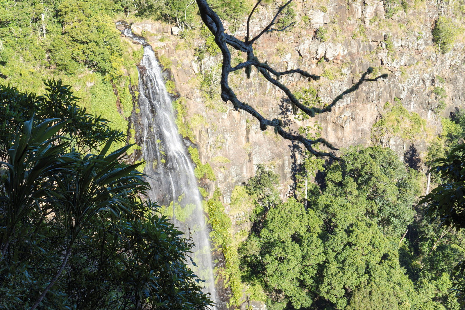 Gold Coast Hinterland QLD Accommodation Batemans Bay