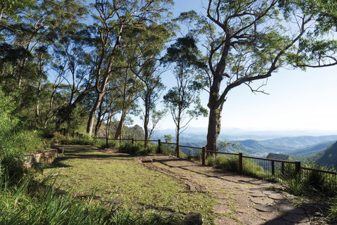 Morans Falls Track, Lamington National Park - Accommodation Batemans Bay 1