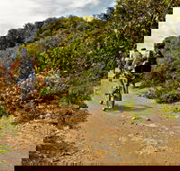 Mountain Biking Trails - Accommodation Batemans Bay