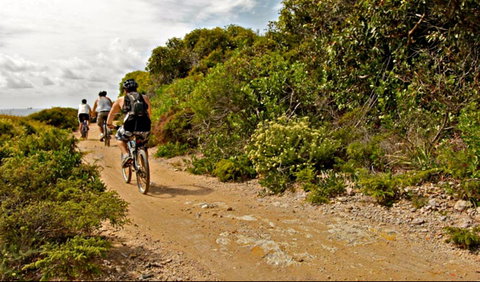 Mountain Biking Trails - Accommodation Batemans Bay 0