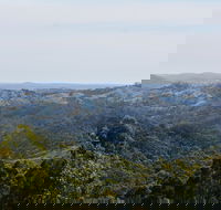 Mount Crawford Forest Reserve - Accommodation Batemans Bay