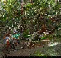 Palms picnic area - Accommodation Batemans Bay