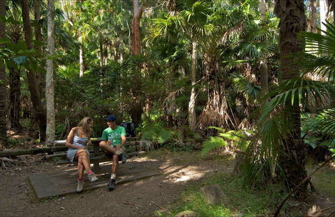 Palms Picnic Area - Accommodation Batemans Bay 0