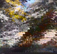 Pheasants Nest - Accommodation Batemans Bay