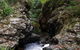 Potoroo Falls Walk - thumb 0